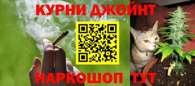 a pvp Дмитров