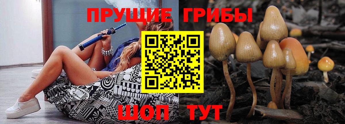 Галлюциногенные грибы Cubensis Аша