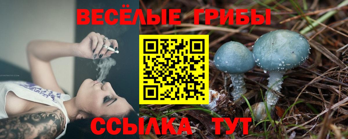 Аша  Псилоцибиновые грибы мухоморы  Вход с VPN  Псилоцибиновые грибы ЛСД 